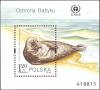 Colnect-4720-552-Gray-Seal-Halichoerus-grypus.jpg