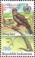 Colnect-1141-724-Javan-Hawk-Eagle-Spiza%C3%ABtus-bartelsi-.jpg