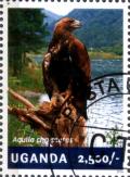 Colnect-3438-331-Golden-Eagle-Aquila-chrysaetos.jpg