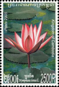 Colnect-3988-423-Nymphaea-Lotus-in-Color-Red.jpg