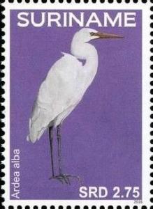 Colnect-4204-527-Ardea-alba-Great-Egret.jpg