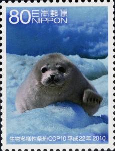 Colnect-4132-697-Spotted-Seal-Phoca-vitulina-largha.jpg