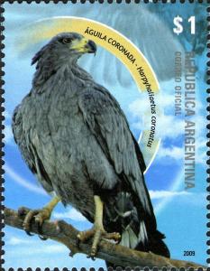 Colnect-956-294-Crowned-Solitary-Eagle-Harpyhaliaetus-coronatus-.jpg