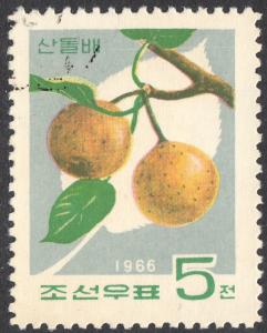 Colnect-3165-737-Wild-pear-Pyrus-ussuriensis.jpg