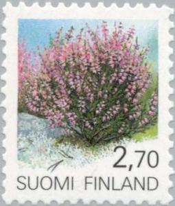 Colnect-160-043-Common-Heather-Calluna-vulgaris.jpg