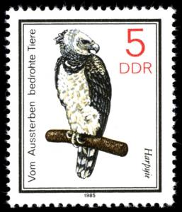 Colnect-583-404-Harpy-Eagle-Harpia-harpyja.jpg