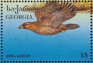 Colnect-1104-853-Golden-eagle-aquila-chrysaetos.jpg