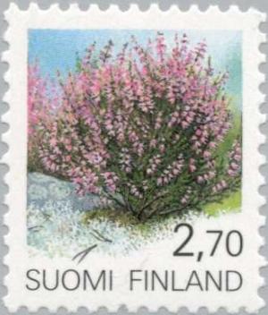 Colnect-160-043-Common-Heather-Calluna-vulgaris.jpg