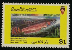 Colnect-1666-214-Brunei-Beauty-Betta-macrostoma-.jpg