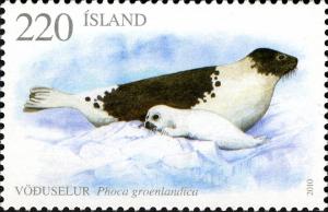 Colnect-2145-265-Harp-Seal-Phoca-groenlandica.jpg