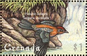 Colnect-2192-591-Lesser-Antillean-Tanager-Tangara-cucullata.jpg