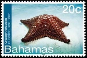 Colnect-2355-502-Red-Cushion-Sea-Star-Oreaster-reticulatus.jpg