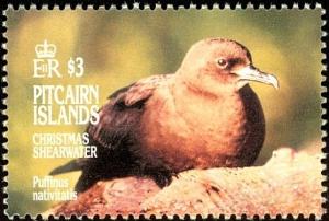 Colnect-2648-977-Christmas-Island-Shearwater-nbsp-Puffinus-nativitatis.jpg