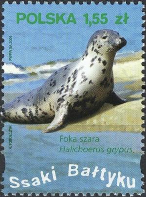 Colnect-4745-581-Gray-Seal-Halichoerus-grypus.jpg