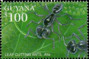 Colnect-4865-673-Leaf-cutting-Ants.jpg