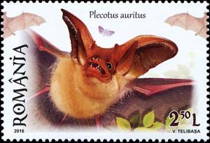 Colnect-5164-348-Brown-Long-eared-Bat-Plecotus-auritus.jpg