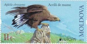 Colnect-5763-646-Golden-Eagle-Aquila-chrysaetos.jpg