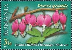 Colnect-6074-344-Bleeding-Heart-Dicentra-spectabilis.jpg