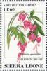 Colnect-4207-985-Bleeding-Heart-Dicentra-spectabilis.jpg