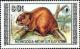 Colnect-1251-723-Eurasian-Beaver-Castor-fiber-birulai.jpg