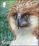 Colnect-3136-503-Philippine-Eagle-Pithecophaga-jefferyi.jpg