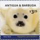 Colnect-3530-488-Harp-Seal-Phoca-groenlandica.jpg