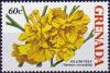 Colnect-3885-657-Tabebuia-serratifolia.jpg