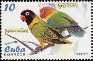 Colnect-2136-989-Masked-Lovebird-Agapornis-personata.jpg