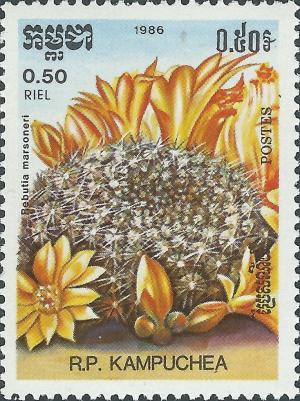 Colnect-2631-230-Rebutia-marsoneri.jpg