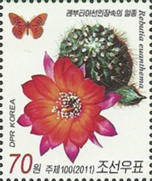 Colnect-2954-893-Rebutia-euanthema.jpg