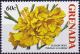 Colnect-3885-657-Tabebuia-serratifolia.jpg