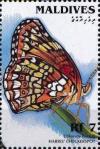 Colnect-4182-816-Harris--s-Checkerspot-Chlosyne-harrisii.jpg