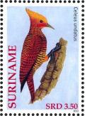 Colnect-3837-161-Waved-Woodpecker%C2%A0%C2%A0%C2%A0%C2%A0Celeus-undatus.jpg