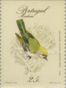 Colnect-186-326-Madeira-Firecrest-Regulus-madeirensis.jpg