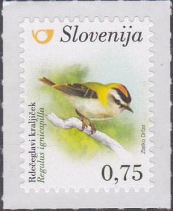 Colnect-3332-270-Common-firecrest-Regulus-ignicapilla.jpg