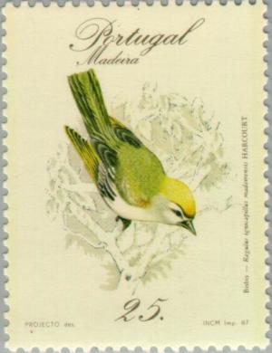 Colnect-186-321-Madeira-Firecrest-Regulus-madeirensis.jpg