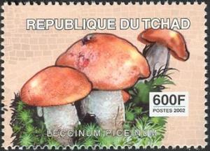 Colnect-2395-338-Leccinum-piceinum.jpg