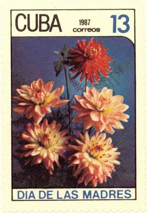 Colnect-2697-006-Decorative-dahlias.jpg