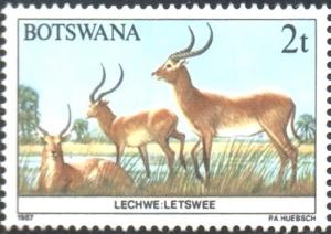 Colnect-2848-658-Lechwe-Kobus-leche.jpg