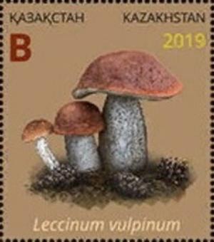 Colnect-6282-267-Leccinum-vulpinum.jpg