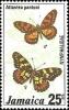 Colnect-1546-075-Jamaican-Checkerspot-Atlantea-pantoni.jpg