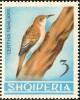 Colnect-1976-264-Eurasian-Treecreeper-Certhia-familiaris.jpg