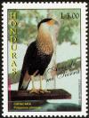 Colnect-1552-223-Northern-Crested-Caracara-Caracara-cheriway.jpg