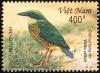 Colnect-1613-101-Bar-bellied-Pitta%C2%A0Pitta-elliotii.jpg