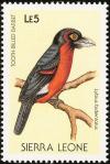 Colnect-1618-025-Double-toothed-Barbet-Lybius-bidentatus.jpg