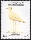 Colnect-1646-515-Cream-colored-Courser-Cursorius-cursor.jpg