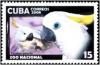 Colnect-1648-737-Sulphur-crested-Cockatoo-Cacatua-galerita.jpg