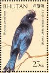 Colnect-1720-401-Greater-Racket-tailed-Drongo-nbsp-Dicrurus-paradiseus.jpg