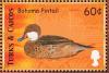 Colnect-1764-420-White-cheeked-Pintail%C2%A0Anas-bahamensis.jpg