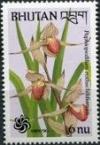 Colnect-1811-445-Paphiopedilum-rothschildianum.jpg